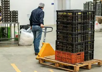 無錫水果批發(fā)市場商戶們用手動液壓搬運車搬運貨物